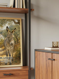 Platero book watercolour illustration paper finish options – matte satin gloss