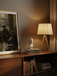 Mc Teague watercolour print on bookshelf – Frank Norris fan gift