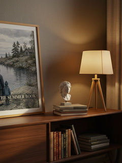 The Summer Book watercolour print on bookshelf – Tove Jansson fan gift