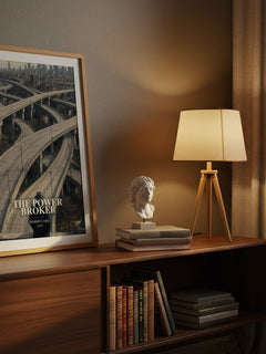 The Power Broker watercolour print on bookshelf – Robert Caro fan gift