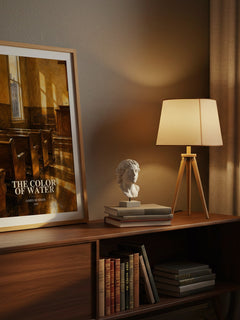 The Color of Water watercolour print on bookshelf – James McBride fan gift