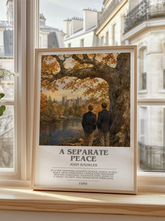 A Separate Peace Bookish Wall Art by John Knowles – framed print by a bright window