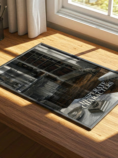 Desperate Characters watercolour book poster framed on wall – literary fiction wall art