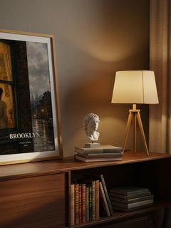 Brooklyn watercolour print on bookshelf – Colm Toibin fan gift
