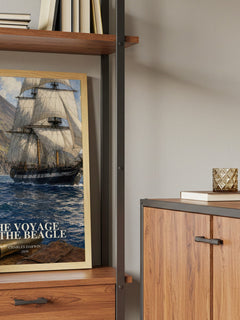 The Voyage of the Beagle book watercolour illustration paper finish options – matte satin gloss