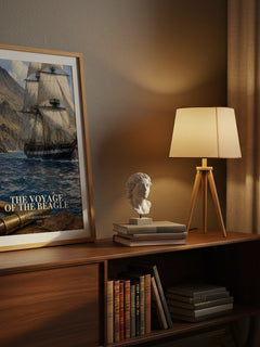The Voyage of the Beagle watercolour print on bookshelf – Charles Darwin fan gift