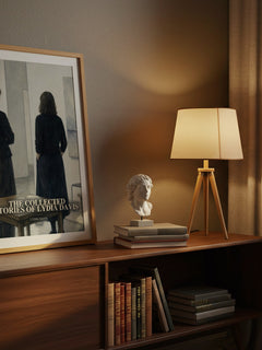 The Collected Stories Of Lydia Davis watercolour print on bookshelf – Lydia Davis fan gift