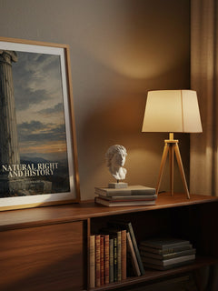 Natural Right and History watercolour print on bookshelf – Leo Strauss fan gift