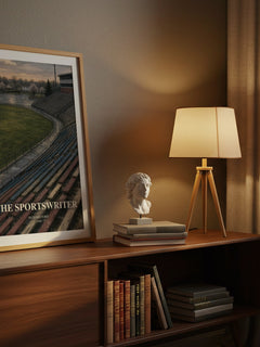 The Sportswriter watercolour print on bookshelf – Richard Ford fan gift