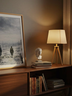 The Young Lions watercolour print on bookshelf – Irwin Shaw fan gift
