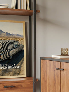 The Zebra Striped Hearse book watercolour illustration paper finish options – matte satin gloss
