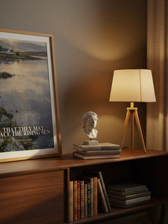 That They May Face the Rising Sun watercolour print on bookshelf – John McGahern fan gift