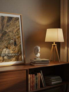 The Underdogs watercolour print on bookshelf – Mariano Azuela fan gift