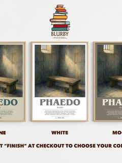 Phaedo bookish print framed by window – Stone, White and Mocha side by side – choose your colour
