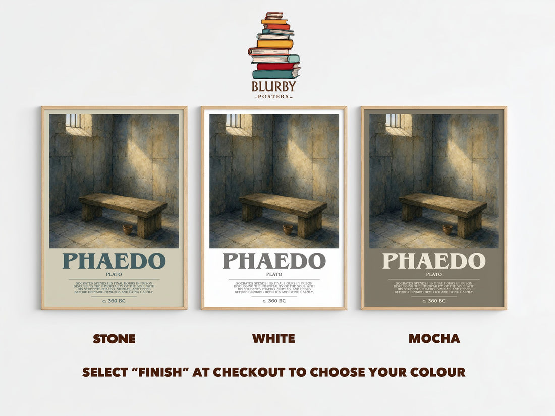 Phaedo bookish print framed by window – Stone, White and Mocha side by side – choose your colour