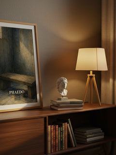 Phaedo watercolour print on bookshelf – Plato fan gift