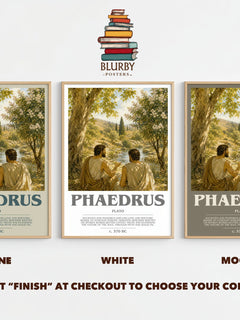 Phaedrus bookish print framed by window – Stone, White and Mocha side by side – choose your colour