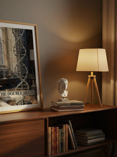 The Double Helix watercolour print on bookshelf – James D. Watson fan gift