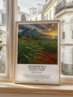 Notebook Of A Return To The Native Land bookish print in frame leaning in hallway – poetry wall art