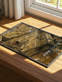 Fool's Gold watercolour book poster framed on wall – literary fiction wall art