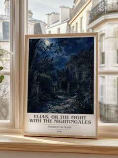 Elias, Or The Fight With The Nightingales book cover print in frame leaning in hallway – literary fiction wall art