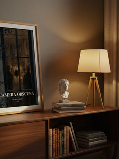 Camera Obscura watercolour print on bookshelf – Nicolaas Beets fan gift