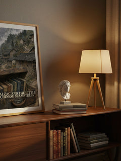 Balzac and the Little Chinese Seamstress watercolour print on bookshelf – Dai Sijie fan gift