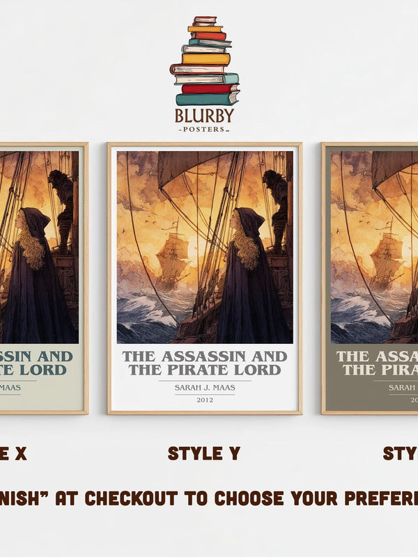 The Assassin And The Pirate Lord book cover print in frame leaning in hallway – young adult wall art